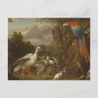 Un canard macaw Parrots et autres oiseaux dans un 