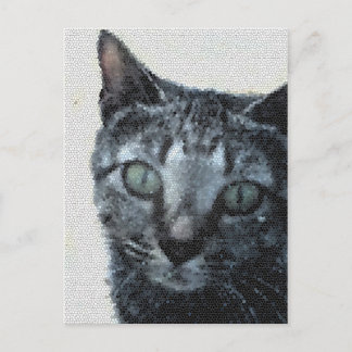 Carte Postale Un chat à travers les yeux d'une libellule.