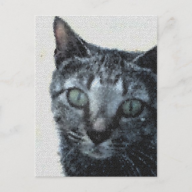 Carte Postale Un chat à travers les yeux d'une libellule. (Devant)