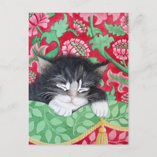 Carte Postale Un chat doué ! (Devant)