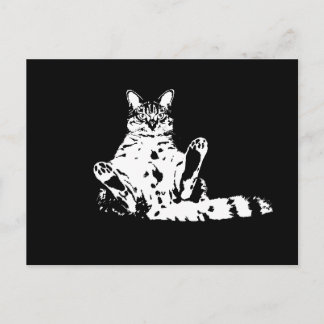 Carte Postale Un chat grincheux et drôle