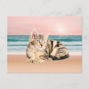 Carte Postale Un chat rayé plus mignon assis sur la plage au cou