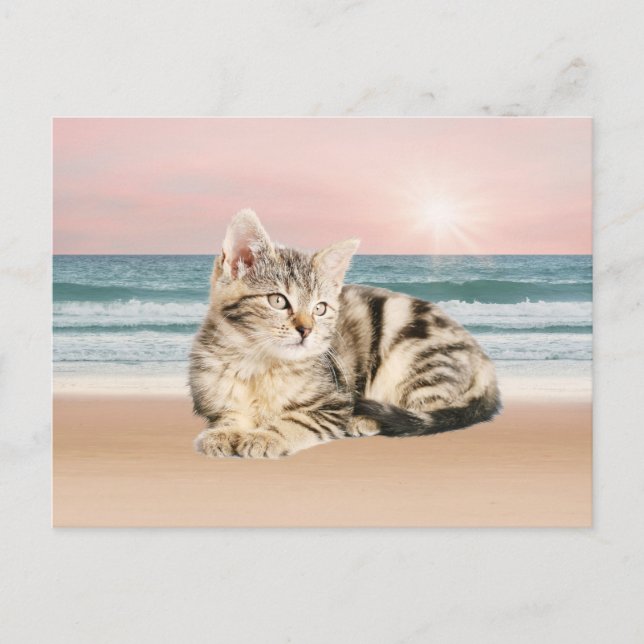 Carte Postale Un chat rayé plus mignon assis sur la plage au cou (Devant)