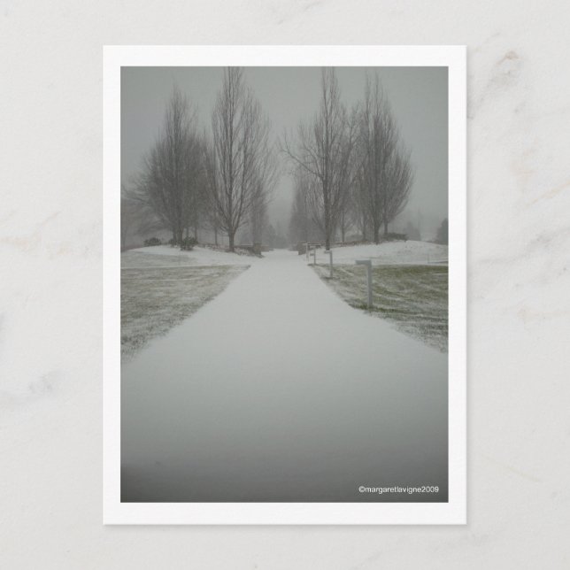 Carte Postale Un chemin d'hiver.... (Devant)