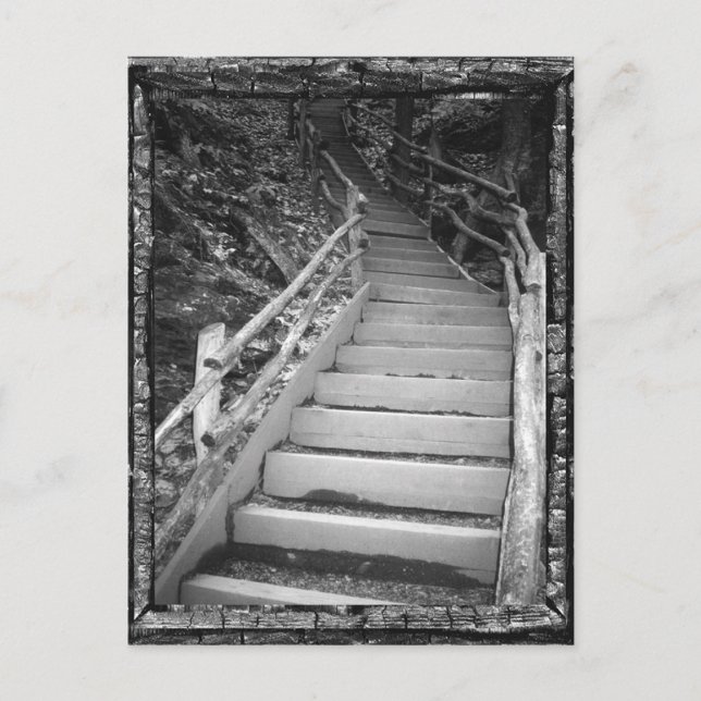 Carte Postale Un chemin sombre (Devant)