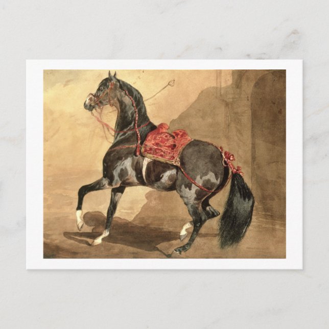 Carte Postale Un cheval d'Arabie (avec une feuille de papier) (Devant)
