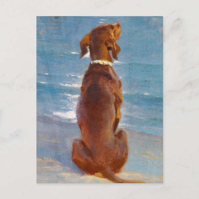 Carte Postale Un chien brun assis par P.S. Kroyer (Devant)