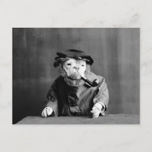 Carte Postale Un chien de mer : 1905