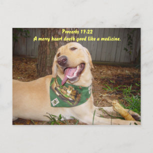 Carte Postale Un coeur joyeux fait du bien comme un médicament.