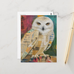 Carte Postale Un collage mixte de chouette adorable