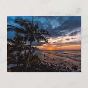 Carte Postale Un coucher de soleil magnifique