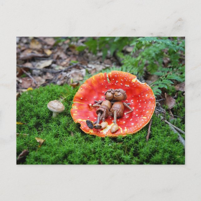 Carte Postale Un couple d'elfes d'Acorn sur le champignon (Devant)