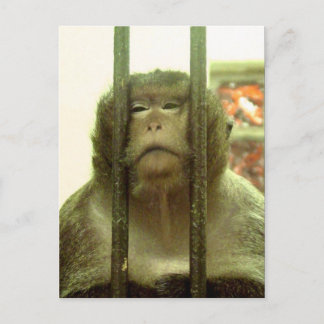 Carte Postale Un de ces jours....