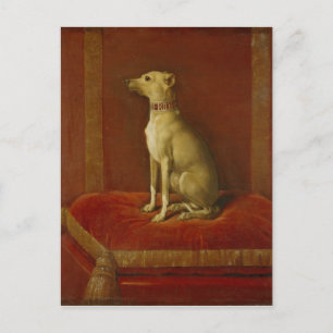 Carte Postale Un des greyhounds italiens de Frederick II
