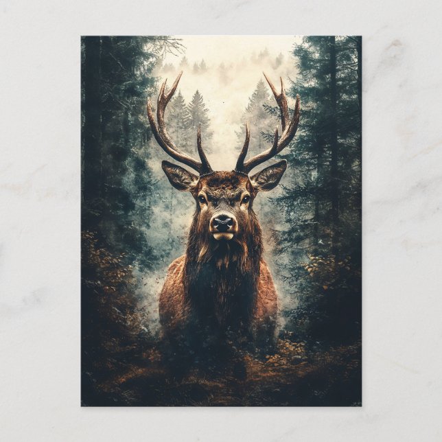Carte Postale Un élan spectaculaire dans les bois (Devant)