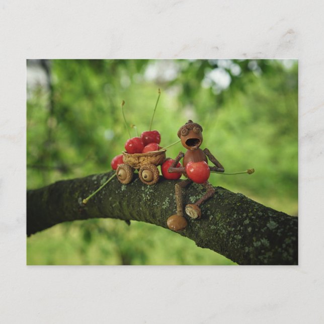 Carte Postale Un elfe d'Acorn mangeant des cerises sur l'arbre é (Devant)