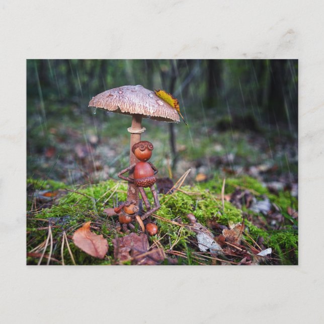 Carte Postale Un elfe de cacre se cache sous un champignon avec  (Devant)