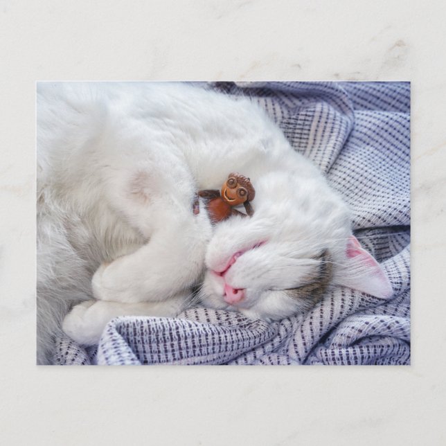 Carte Postale Un elfe de maïs avec le chat (Devant)