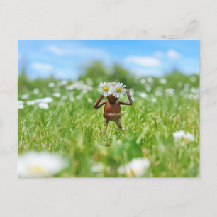 Carte Postale Un elfe de maïs dans la prairie avec marguerites -
