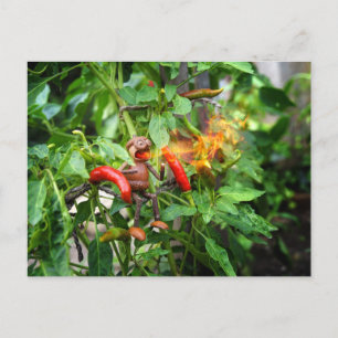 Carte Postale Un elfe de maïs vient de goûter un piment épicé