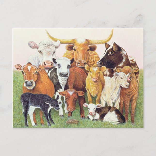 Carte Postale Un étranger surprenant (Devant)