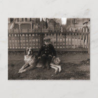 Un garçon assis sur un chien de St Bernard dans le