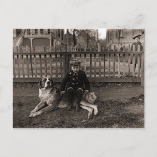 Carte Postale Un garçon assis sur un chien de St Bernard dans le