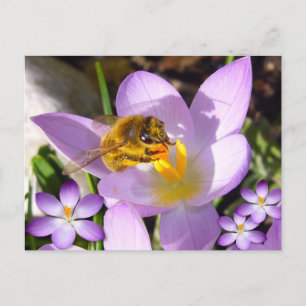 Carte Postale UN GOÛT DE PRINTEMPS ! Texte personnalisé