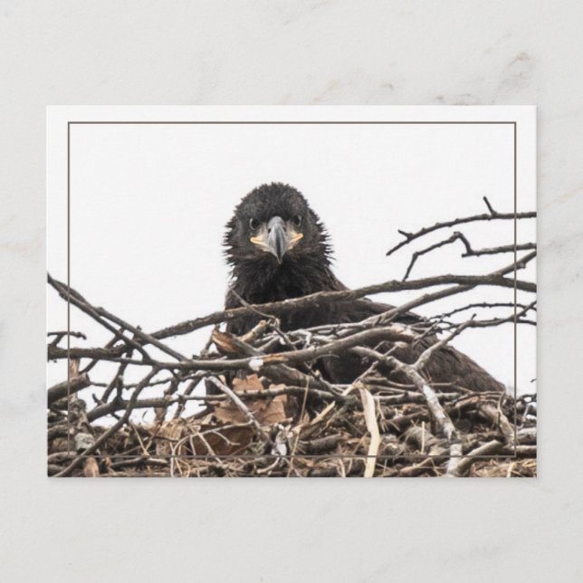 Carte Postale Un grand nouveau monde (Devant)