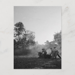 Carte Postale Un groupe de toreros mexicains charros