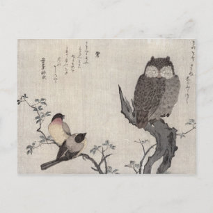 Carte Postale Un Hibou et deux Bouvreuils des jardins