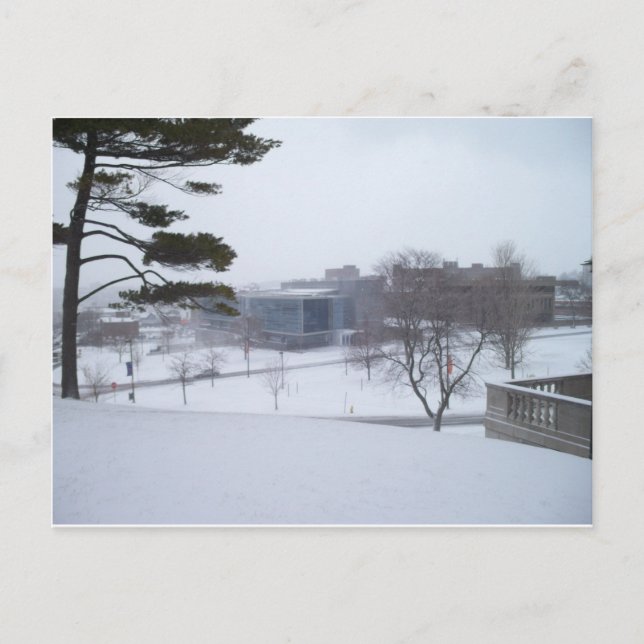 Carte Postale Un hiver Syracuse (Devant)