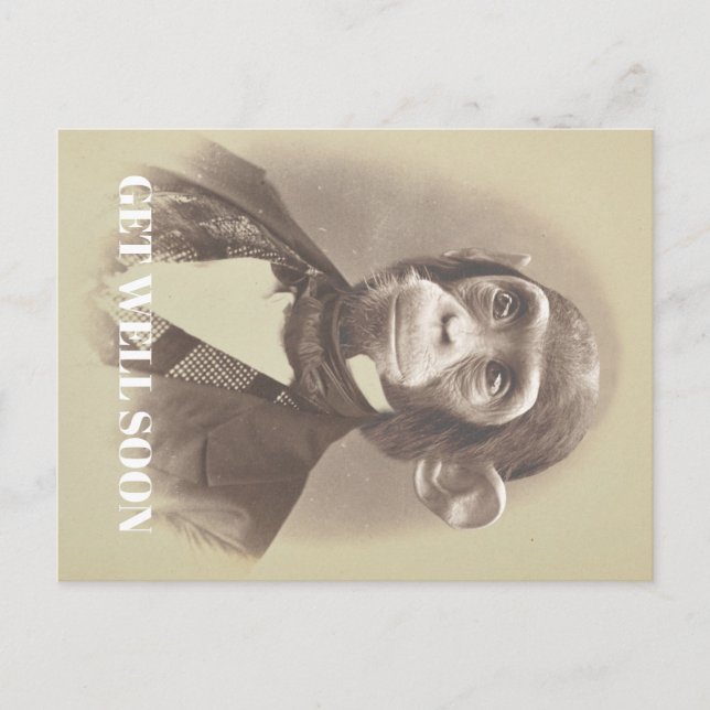 Carte Postale Un homme, Chimpanzé, qui dit : "Va bien bientôt" (Devant)