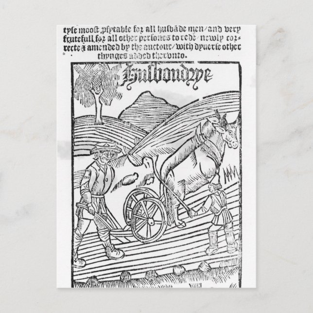 Carte Postale Un homme lance un champ (Devant)