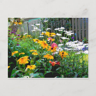 Carte Postale Un Jardin Peint
