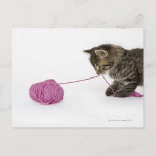 Carte Postale Un jeune chaton à table jouant avec une boule de