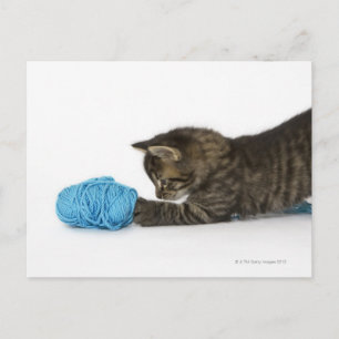 Carte Postale Un jeune chaton Tabby jouant avec de la laine.