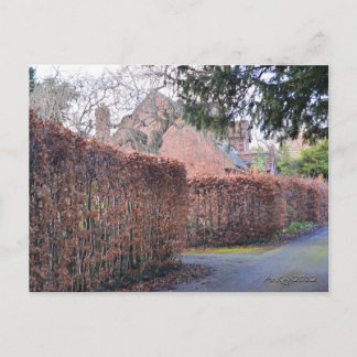 Carte Postale Un jour d'automne