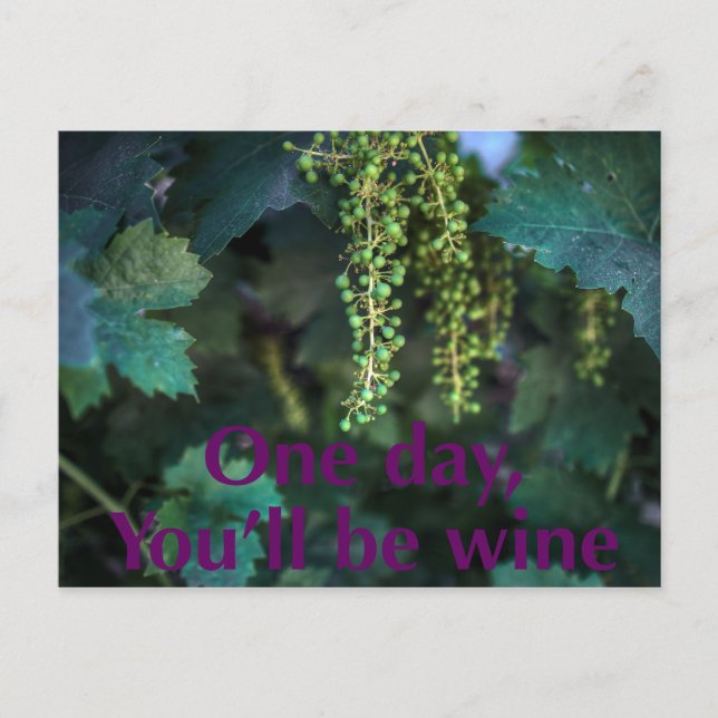 Carte Postale Un jour, tu seras du vin. (Devant)