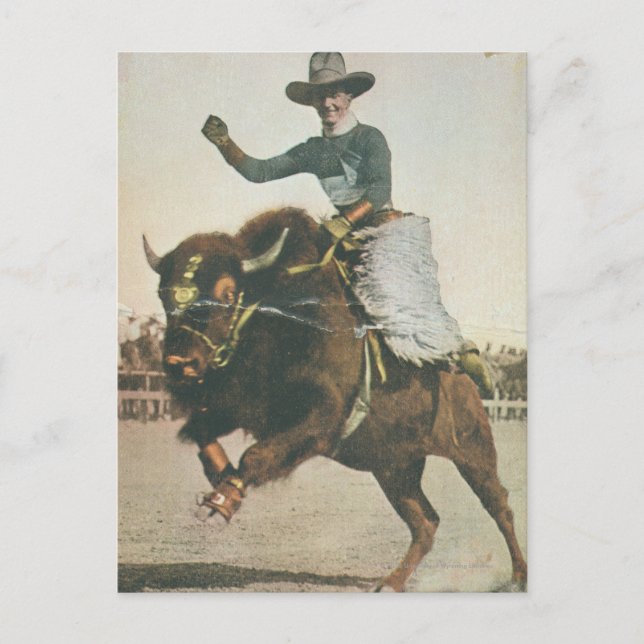 Carte Postale Un joyeux cowboy sur un bison rebutant. (Devant)