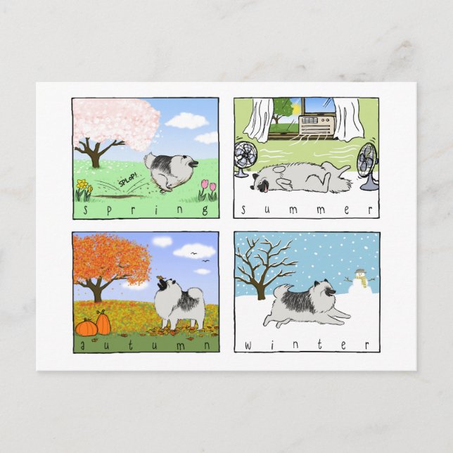 Carte Postale Un Keeshond profite des quatre saisons - Fun Dog A (Devant)