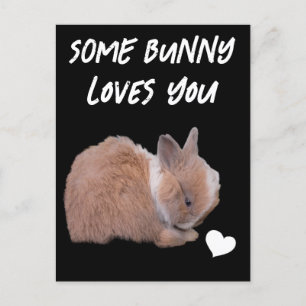 Carte Postale Un Lapin T'Aime