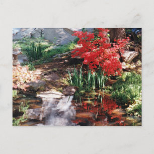 Carte Postale Un lieu de guérison