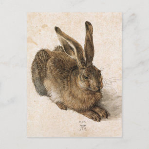 Carte Postale Un lièvre par Albrecht Durer