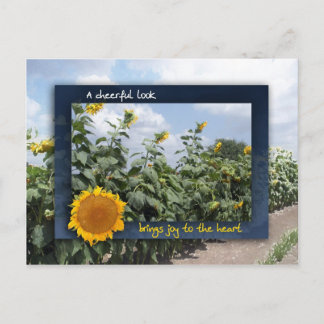 Carte Postale Un look gai apporte de la joie