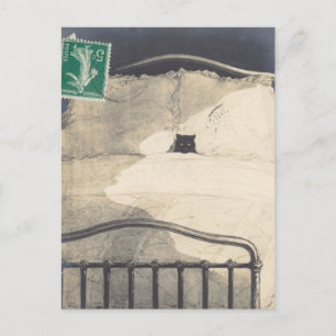 Carte Postale Un Mad Kitty !