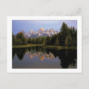 Carte Postale "Un matin Teton"