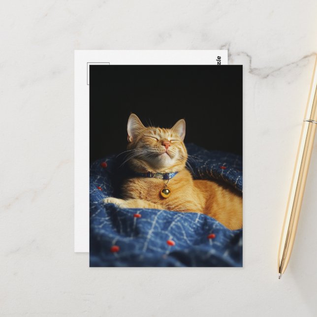 Carte Postale Un mignon chat roux endormi  (Devant/Arrière en situation)