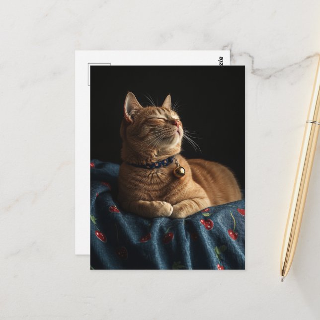 Carte Postale Un mignon chat roux endormi  (Devant/Arrière en situation)