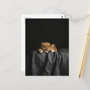 Carte Postale Un mignon chat roux endormi sur fond noir